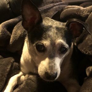 Meet your Posher, Benjamin